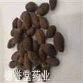 德誉堂药业 胖大海 选长果 胖大海 产地 批发各种中药材