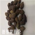 德誉堂药业 胖大海 统 圆粒胖大海 批发各种中药材