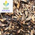 【精品桂枝片  斜片桂枝】@【同歡藥材】中藥材批發(fā)供應(yīng)  規(guī)格齊全 量大從優(yōu) 產(chǎn)地 廣西壯族自治區(qū)