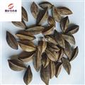 使君子 使君子正品 選貨好貨 實(shí)物拍攝 無(wú)蟲(chóng)蛀 無(wú)霉變 產(chǎn)地 廣西