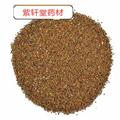 菟絲子 菟絲子水洗選貨 產(chǎn)地 寧夏