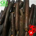 世元藥業(yè) 便秘果 500g/袋 大解 臘腸樹果 金急雨 金鏈花 黃金雨 波斯皂莢 牛角樹 長果子樹