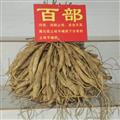 百部苗