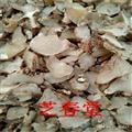 三叉白芨 白芨片 規(guī)格齊全 量大價(jià)優(yōu) 可磨粉