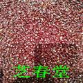 道地中藥材無(wú)硫磺新貨 道地赤小豆長(zhǎng)粒赤小豆 代磨粉