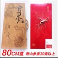 山參人參野山參長(zhǎng)白山人參一參一證正規(guī)鑒證單支參重30克