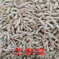 批发中药材 优质白僵蚕 僵虫 僵蚕粉 炒僵蚕 量大议价 常年大货 