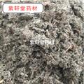 茵陳 茵陳統(tǒng)段 產(chǎn)地 河南省