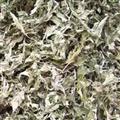 诺源药材行新货供应艾叶 另有艾绒 艾条 艾柱