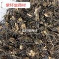 威灵仙 威灵仙水洗统货 产地 辽宁省