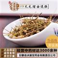 谷精珠 天星草 挖耳朵草 珍珠草 統(tǒng)貨 產(chǎn)地 江蘇省 支持線上保障交易 安徽省冰源堂藥業(yè)經(jīng)營品3000余種中藥材【冷背中藥材】