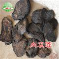 肉苁蓉 软质菊花心肉苁蓉 大选片 产地 新疆维吾尔自治区 买好药找娟子