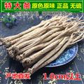 甘肅黨參大條味甜自然曬干含量高產(chǎn)地批發(fā)