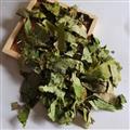 淫羊藿 仙灵脾 羊火叶 统货 东北淫羊藿 规格齐全 量大从优