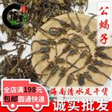 【系統(tǒng)推薦】全蟲蝎子肚子憋公全蝎烘干貨海南清水無鹽足干貨肚子癟顏色黑專注品質(zhì),誠信信邦!