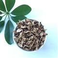 【满250包邮】化橘红花茶 正宗化州橘红花纯花瓣 清淡祛痰 原产地 精选