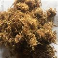 合欢花 统货 产地 山东省菏泽市鄄城县