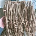 黨參 無硫黨參條 產(chǎn)地 甘肅省