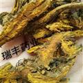 黃連 片 產(chǎn)地 四川省