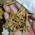 四海商聯(lián) 川黃柏去皮細絲 無硫 后撥勻稱 代發(fā)貨 適合藥店診所 川黃檗 檗木 小黃連樹