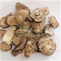 云木香 精品木香圆片木香 香味浓郁 纯干货 无虫蛀无霉变 产地 云南省