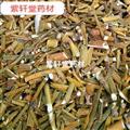 寄生 寄生 嫩枝统段 产地 广西壮族自治区