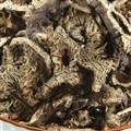 圣草康园升麻东北 升麻新货