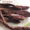 锁阳 锁阳个子 统 产地 内蒙古自治区