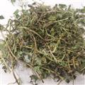 小麗百草行金腰草 雅吉瑪
