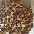 赤芍 山赤芍10一16號篩 無硫選片 產(chǎn)地 山西省
