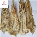 當歸 當歸佛手片 當歸佛手片 產(chǎn)地直供地道藥材 無硫新貨選裝 產(chǎn)地甘肅省