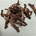 骨碎补 03统 产地 贵州省安顺市