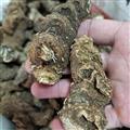 云南重樓滇重樓 七枝蓮 七葉一枝花 蚤休枝花頭重樓個(gè)獨(dú)角蓮獨(dú)腳蓮
