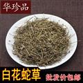 白花蛇舌草 01 家種白花蛇草 統(tǒng) 產(chǎn)地 河南省鶴壁市?？h