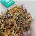 （包郵）特級(jí)云南野生金銀花