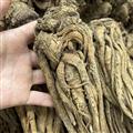 當歸，純無硫特大條，特級貨，（一斤5-6個），規(guī)格齊全 產地 四川省【誠信經營 品種齊全】
