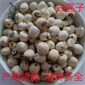 產(chǎn)地直銷白蓮子 湖南湖北空心磨皮白蓮子 產(chǎn)地 湖南省