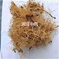 【細(xì)辛水洗凈貨】【潤(rùn)澤中藥】中藥材批發(fā)供應(yīng) 規(guī)格齊全 量大從優(yōu)