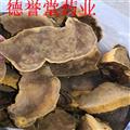 桑黃 西藏桑黃靈芝 林芝桑樹桑黃 西藏野生桑黃 批發(fā)零售可代發(fā) 