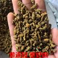黃連 黃連沫 加工黃連片碎段 無(wú)雜質(zhì) 打粉熬膏 產(chǎn)地 四川省