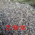 中藥材批發(fā) 野生韓信草 耳挖草 大力草 金茶匙 牙刷草 順經(jīng)