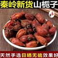 【新貨個(gè)大】秦嶺野生梔子 手工分揀 日曬無(wú)硫1000g