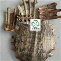 鱉甲 醋鱉甲 產(chǎn)地 山東省