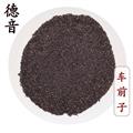【满包邮】车前子 统货 产地四川 1000g 中药材批发 规格齐全