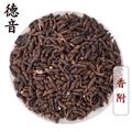 【满包邮】香附 香附子 统产地 广西 1000g 中药材批发 规格齐全