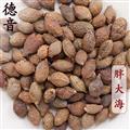 【满包邮】胖大海 长果 选货 产地广西 1000g 中药材批发 规格齐全