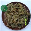 翠云草 龙须 蓝草 剑柏 伸脚草 绿绒草 统 产地 广西壮族自治区