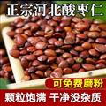 酸棗仁 野生酸棗仁正品產(chǎn)地批發(fā)零售炒酸棗仁 酸棗仁粉齊全