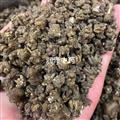 【水洗貓爪草】【潤澤中藥】中藥材批發(fā)供應 規(guī)格齊全 量大從優(yōu)