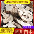 【99包郵】炒白術(shù) 2年生統(tǒng)片 四川產(chǎn) 亳白術(shù)【良心經(jīng)營 品種齊全】白術(shù)的功效與作用